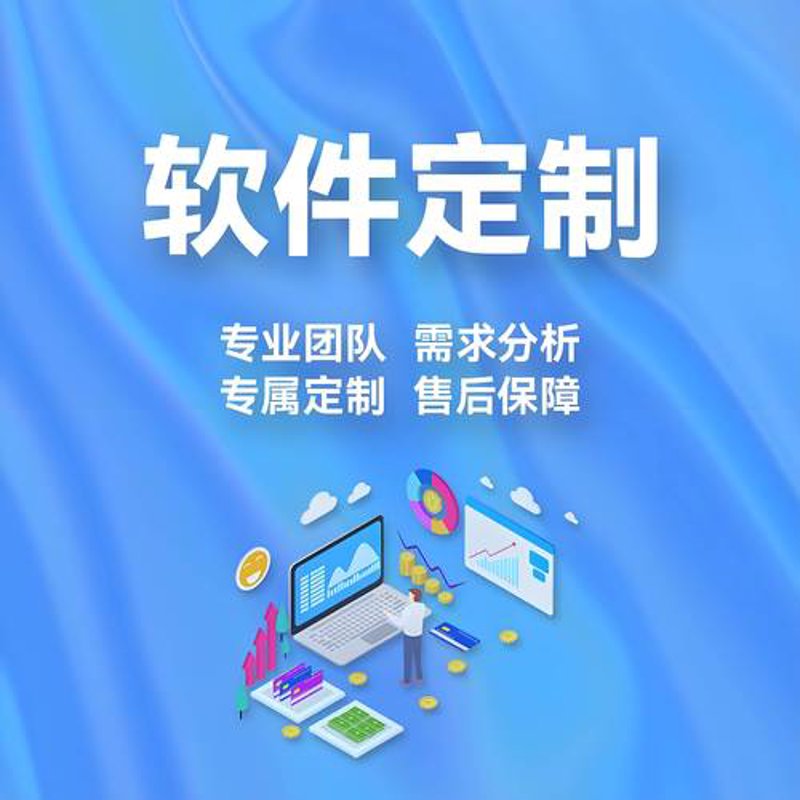 定制软件：如何助力企业步入智能化新时代
